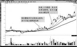 什么是多頭排列形態(tài)？