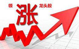 為什么有時候龍頭股能帶動整個板塊上漲