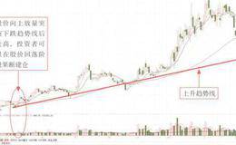 阮仕珍珠IPO再創業績神話的案例解讀