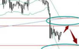 怎么選擇優質的低價高含權股？有什么標準而言嗎？