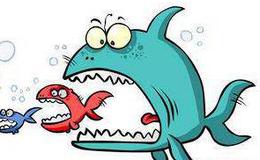 【傅海棠最新股市評論】正確的單子，要堅定持有