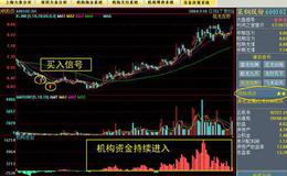 如何理解黑馬啟動前的形態？