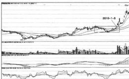 散戶坑案例分析