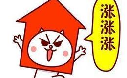 皮海洲：回報投資者不妨將上市公司高派現(xiàn)的50%用于股份回購