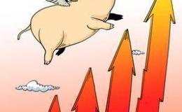 巴菲特：果然股神！股價創新高，巴菲特在日本投資最多賺80%！