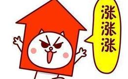 皮海洲：電力股迎來利好 市場交易電價浮動范圍調整為不超過20%皮海洲