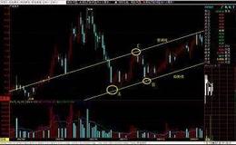皮海洲：關上一扇門又打開一扇窗 職業教育或為教育股帶來轉機